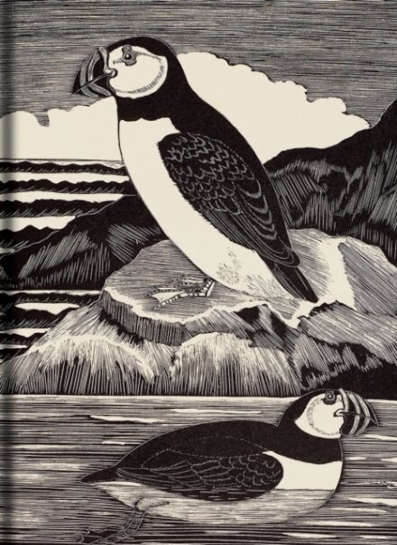 Birds Journal