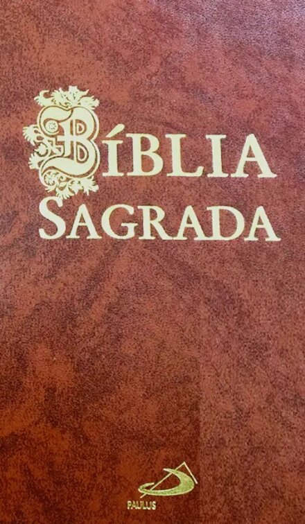 Bíblia Sagrada Média Castanha