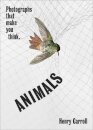 Animals: Photographs That Make You Think