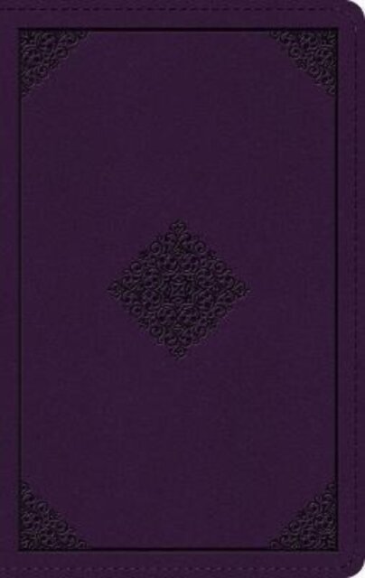 ESV Large Print Personal Size Bible, Red Letter