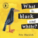 What Is Black And White?