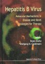 Hepatitis B Virus