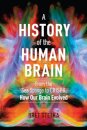 A History of the Human Brain