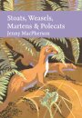 Stoats, Weasels, Martens and Polecats