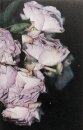 Martin Maeller: Nervous Dust