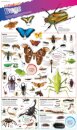 Dk Findout! Bugs Poster