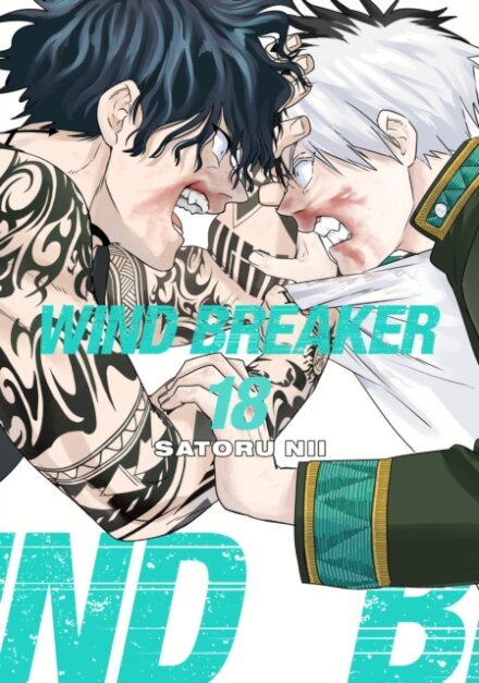 WIND BREAKER 18