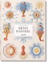The Art and Science of Ernst Haeckel