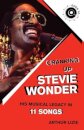 Cranking Up Stevie Wonder
