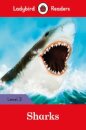 Sharks Lbr L3