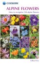 Alpine Flowers