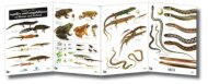 Guide to the Reptiles and Amphibians of Britain and Ireland