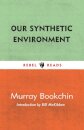Our Synthetic Environment