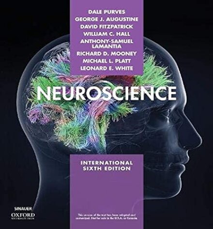 Neuroscience Sixth Edition