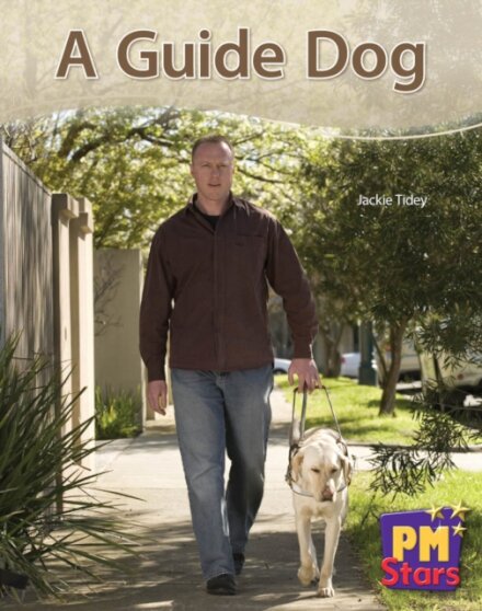 A Guide Dog