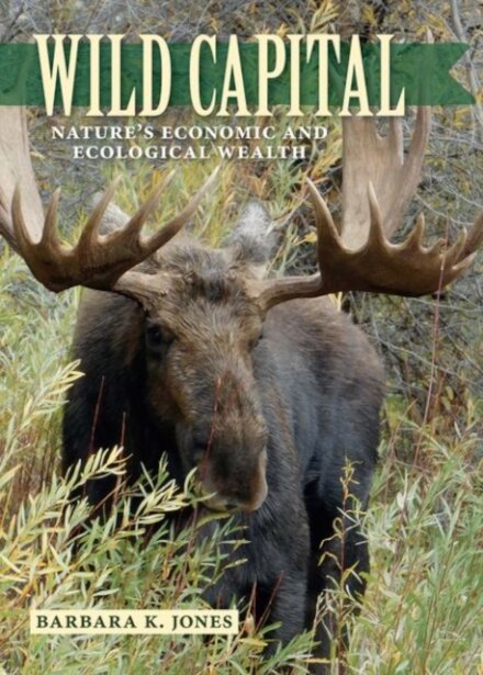 Wild Capital