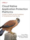 Cloud Native Application Protection Platforms