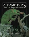 Chameleons
