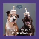 Sookie and Ivy Every Day Is a Celebration