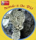 PYP L1 Animals in the Wild single