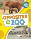 Opposites at the Zoo