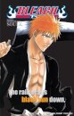 Bleach SOULs. Official Character Book