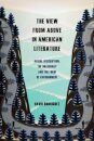 The View from Above in American Literature