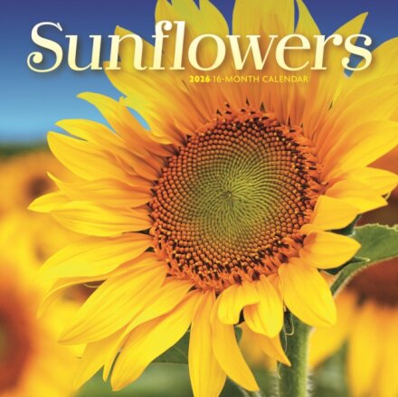 Sunflowers Square Mini Sunday Start Cale