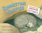Summertime Sleepers