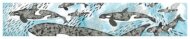 Orcas Card