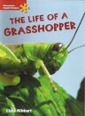 The Life of a Grasshopper