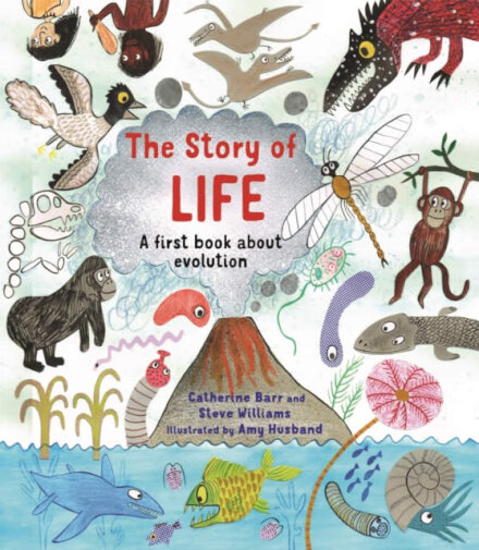 The Story Of Life