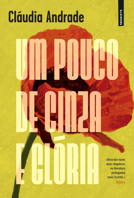 Um Pouco de Cinza e Glória