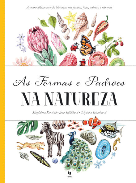 As Formas e Padrões na Natureza