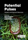 Potential Pulses