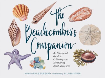 Beachcomber's Companion