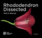 Rhododendron Dissected