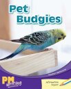 Pet Budgies