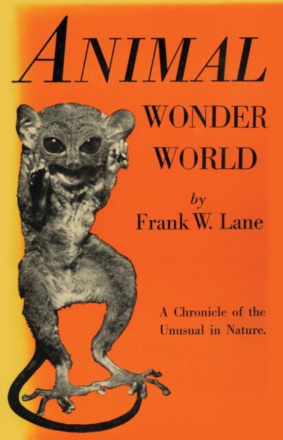 Animal Wonder World