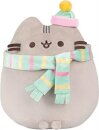 COZY WINTER PUSHEEN