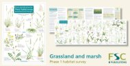 Plant Identification for Phase 1 Habitat Survey: Grassland and Marsh