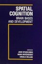 Spatial Cognition