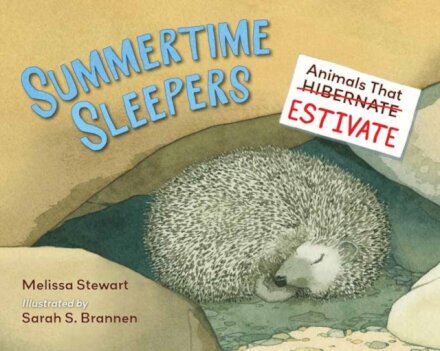 Summertime Sleepers
