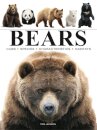 Bears