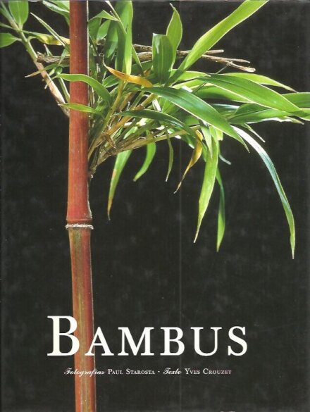 Bambus