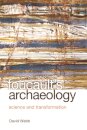 Foucault's Archaeology