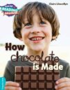 Turquoise How Chocolate is Made