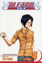 Bleach, Vol. 4