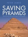 Saving the Pyramids