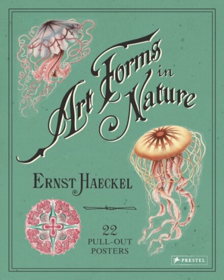 Ernst Haeckel Art Forms In Nature
